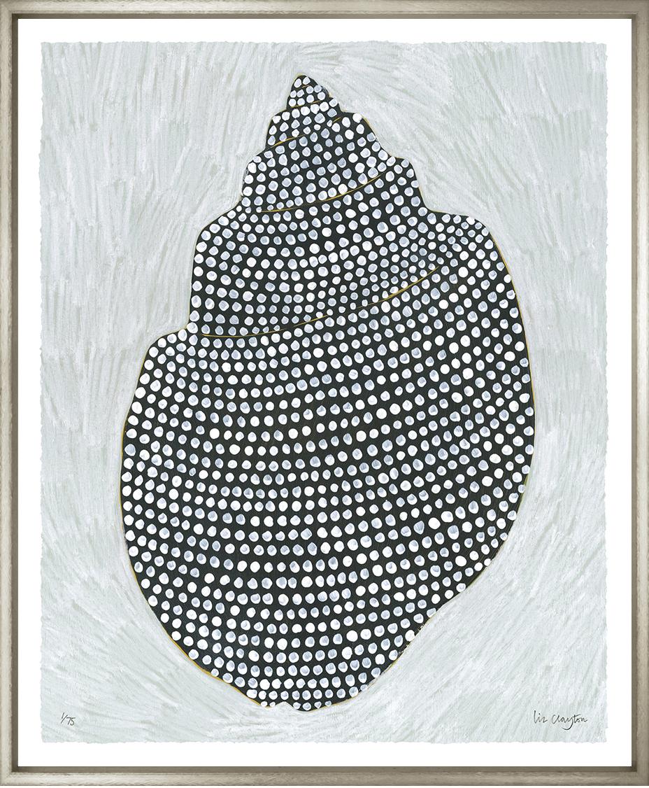 Shell Colleciton – Design Studio