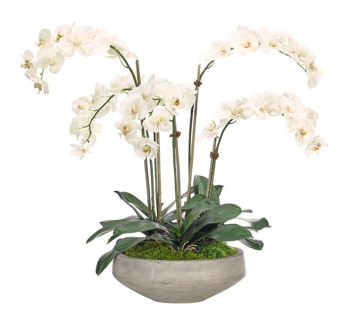 White Phalaenopsis Orchid Silk Arrangement