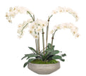 White Phalaenopsis Orchid Silk Arrangement