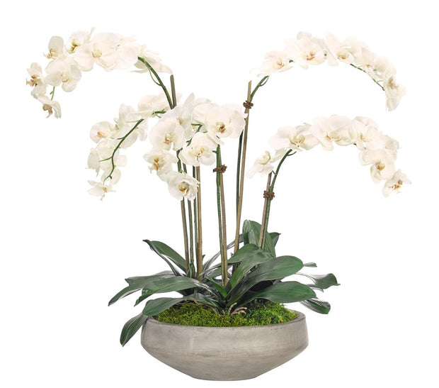 White Phalaenopsis Orchid Silk Arrangement