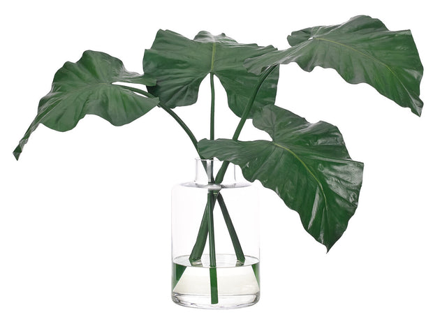 Colocasia Leaf in Glass Bottle