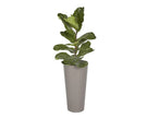 Arbor Planter