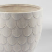 Nereus Planter | Natural Grey | Short – Large