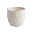 Nereus Planter | Natural Grey | Short – Large