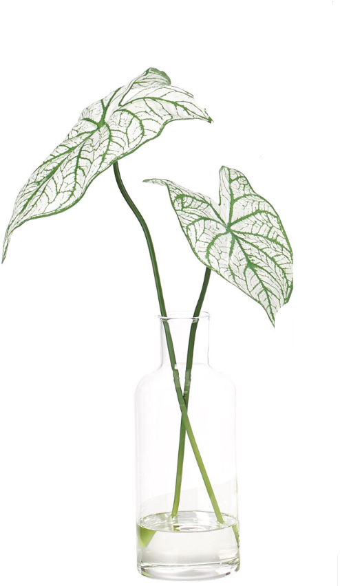 Caladium Faux Greenery Watergarden