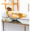 Clam Bowl