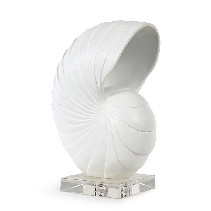 Nautilus Shell