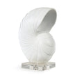 Nautilus Shell
