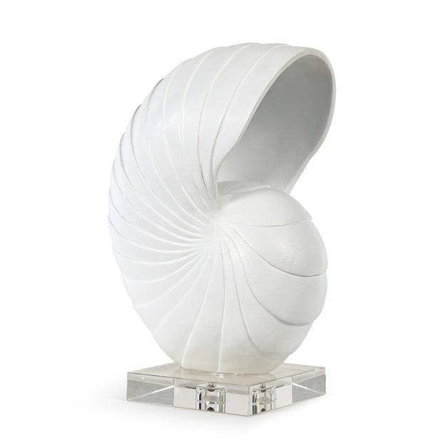 Nautilus Shell