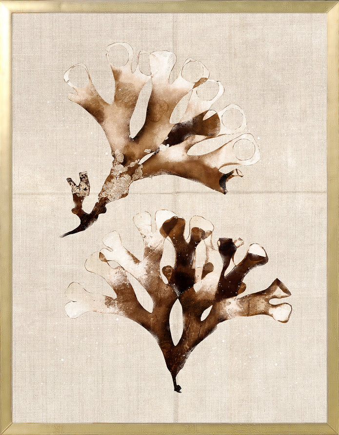 Umber Pressings 9