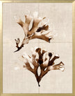 Umber Pressings 9