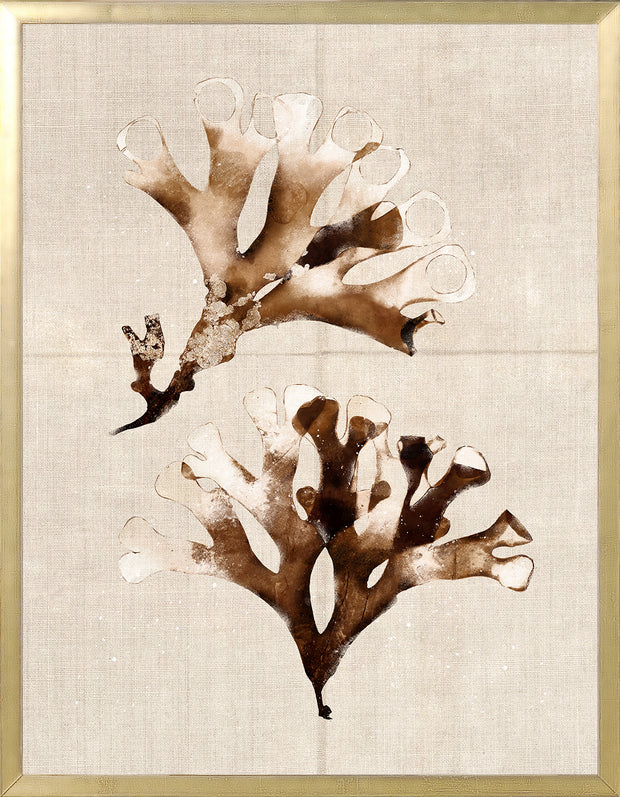 Umber Pressings 9