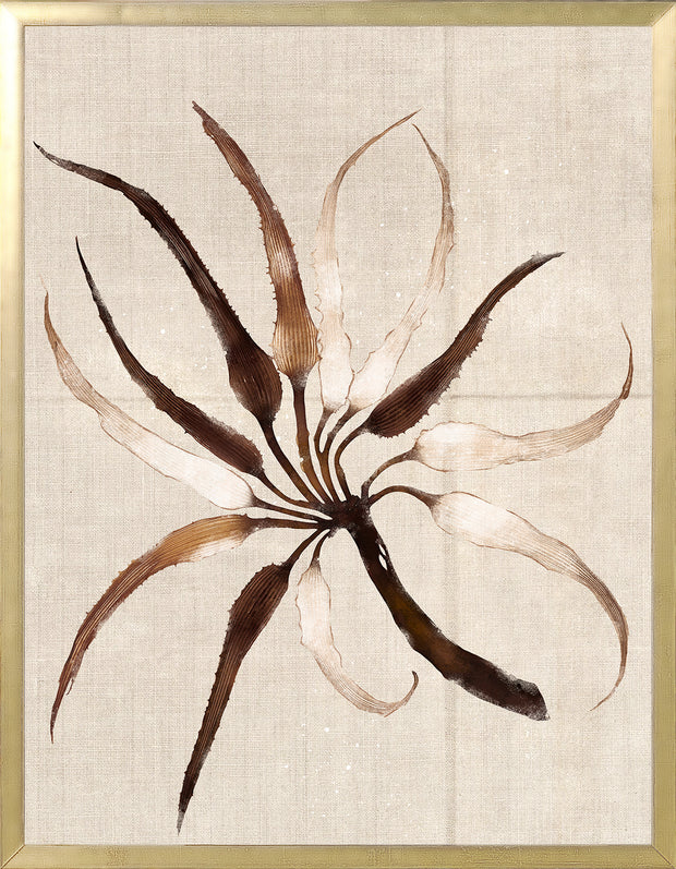Umber Pressings 5