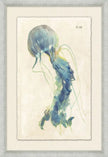 Sea Jelly I