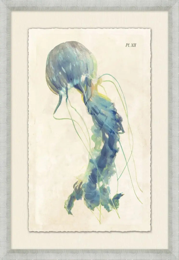 Sea Jelly I