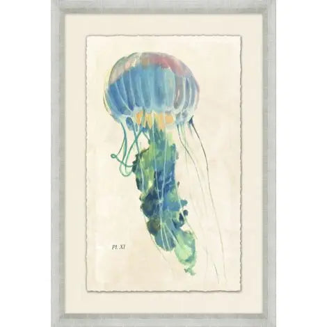 Sea Jelly II