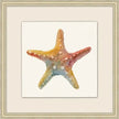 Watercolor Shell Collection 2