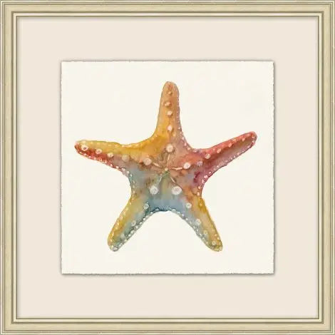 Watercolor Shell Collection 2