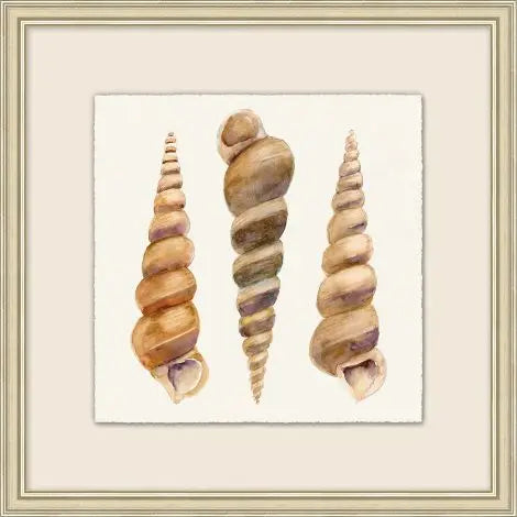 Watercolor Shell Collection 12