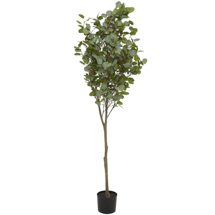 Eucalyptus Tree with Realistic Green Foliage in Black Pot – Indoor/Outdoor Faux Plant, 70" Tall