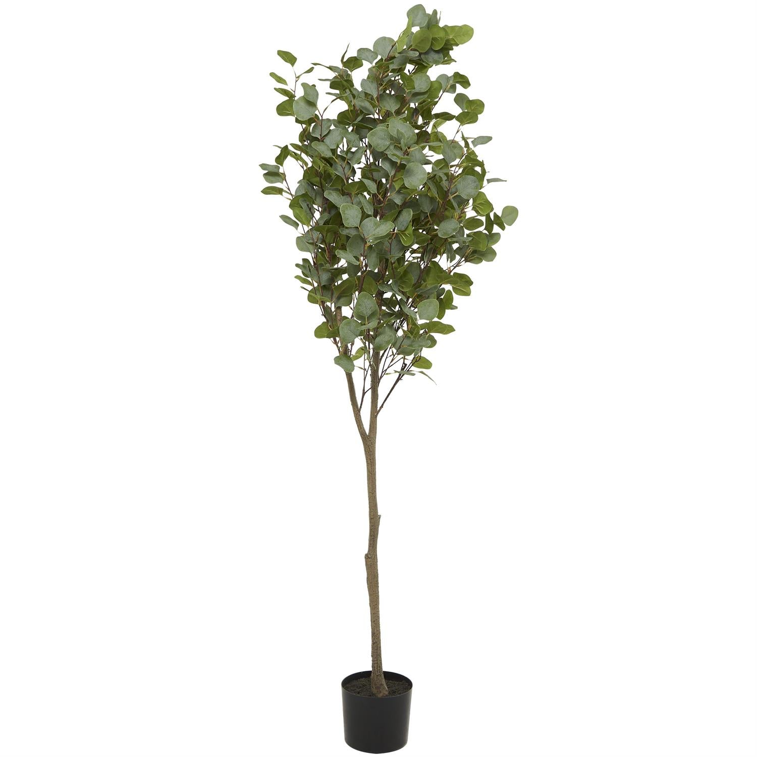 Eucalyptus Tree with Realistic Green Foliage in Black Pot – Indoor/Outdoor Faux Plant, 70