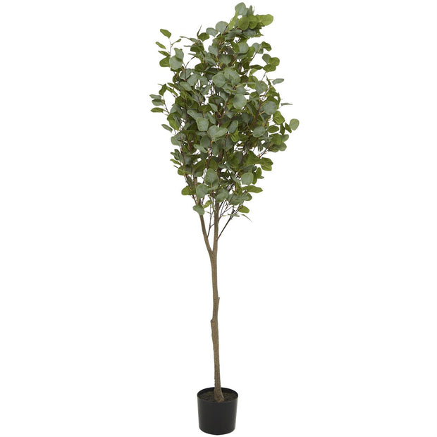 Eucalyptus Tree with Realistic Green Foliage in Black Pot – Indoor/Outdoor Faux Plant, 70" Tall