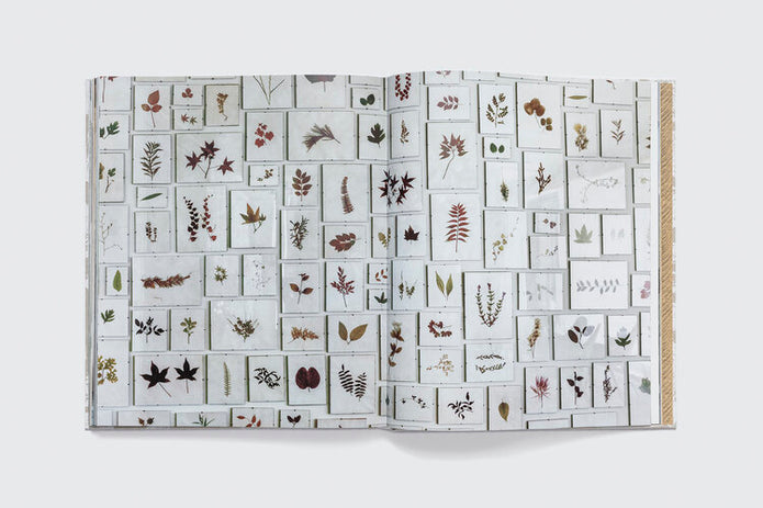 Book- Kerry Joyce,The Intangible