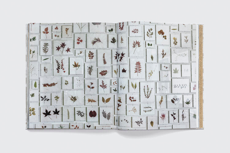 Book- Kerry Joyce,The Intangible