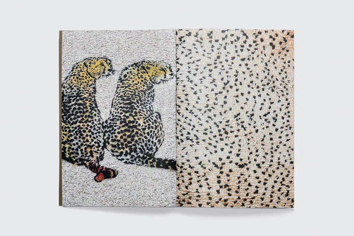 Book- Connections: Moroccan Carpets/Design/Art/Architecture