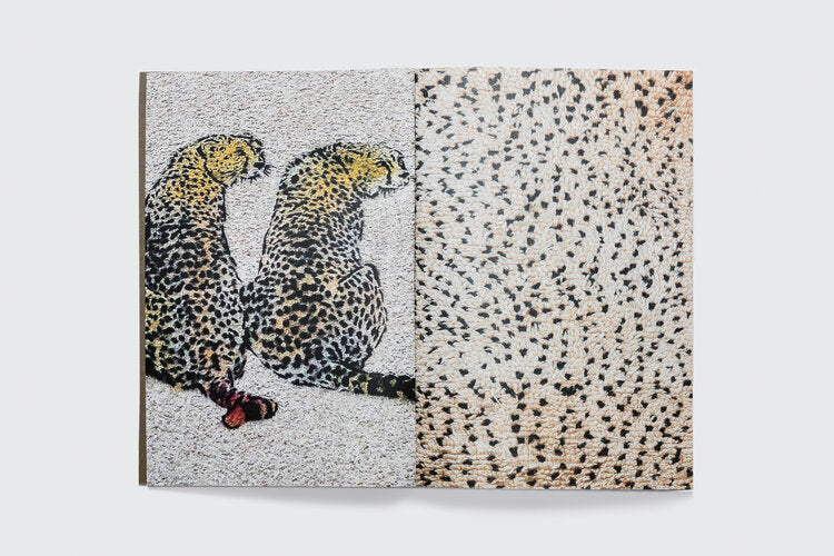 Book- Connections: Moroccan Carpets/Design/Art/Architecture
