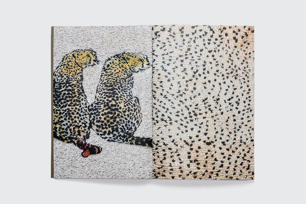 Book- Connections: Moroccan Carpets/Design/Art/Architecture