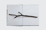 Book- Artifact
