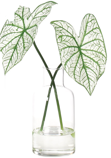 Caladium Faux Greenery Watergarden