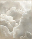 Dream Sky