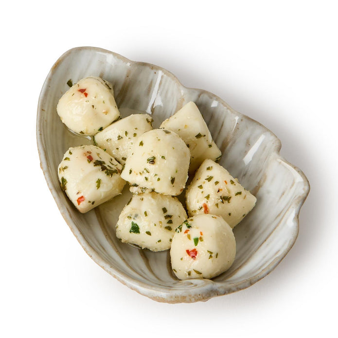 Sea Shell Tidbit Dish or Tray