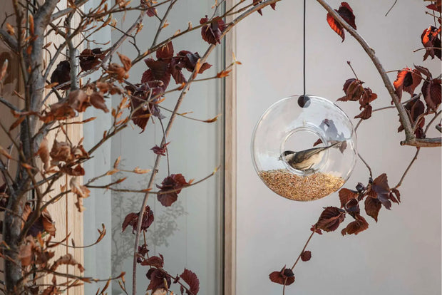 Bird Feeder w/ Cord