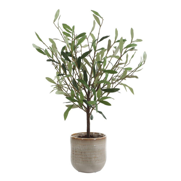 Solea Olive Accent - Large