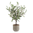 Solea Olive Accent - Large