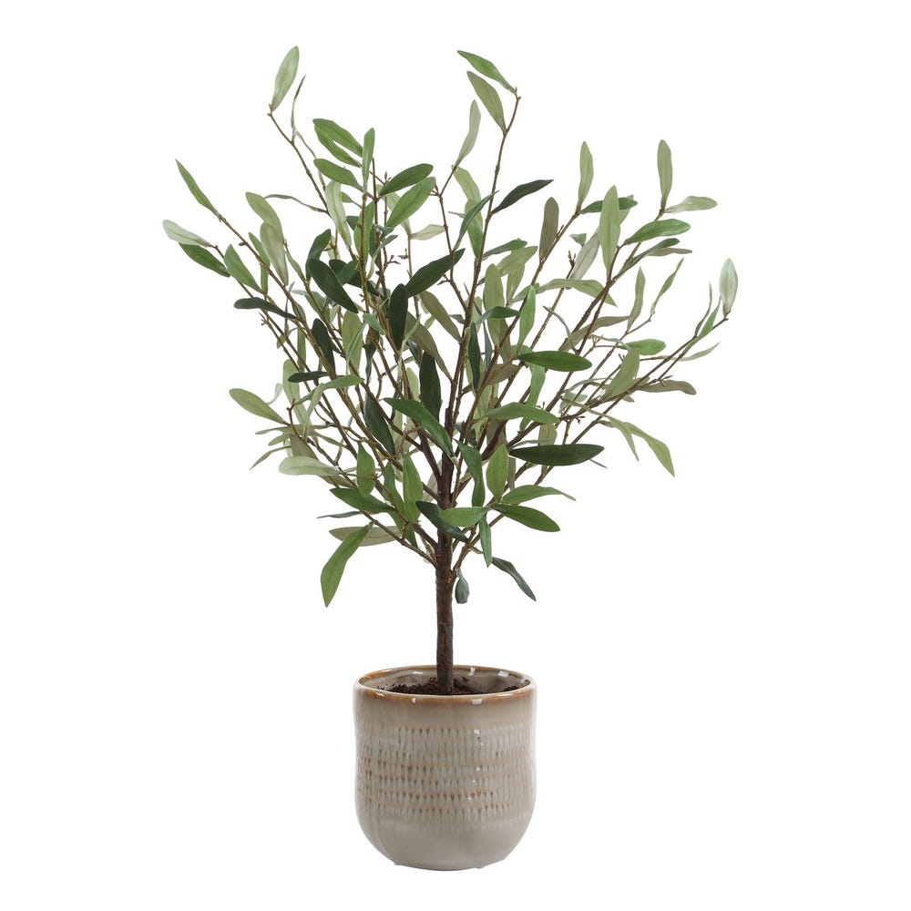 Solea Olive Accent - Large