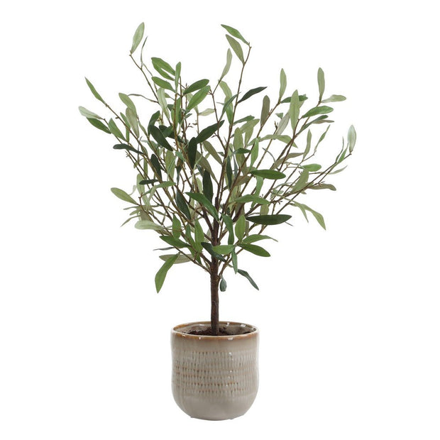 Solea Olive Accent - Large