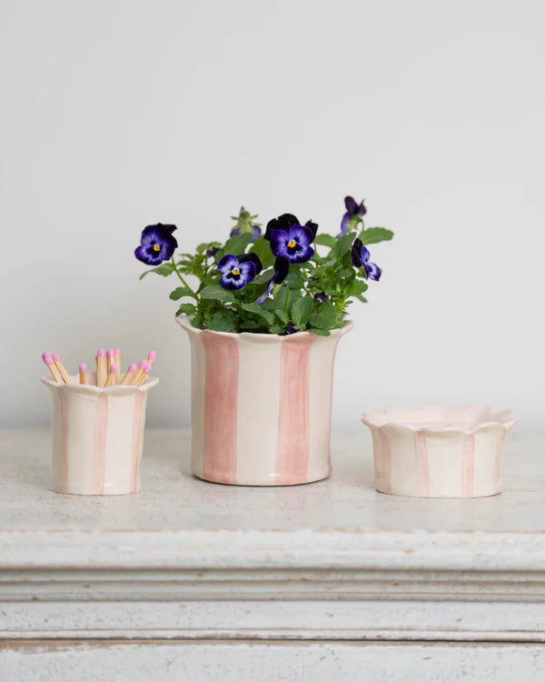Pink Striped Scallop Planter - Large