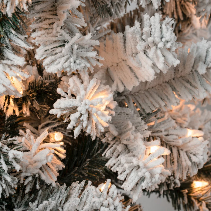 Acacia Flocked Christmas Tree