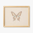 Butterfly Beige Art