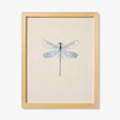 Dragonfly Blue Art