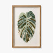 Macadamia Wall Art