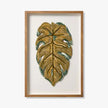 Philodendron Wall Art