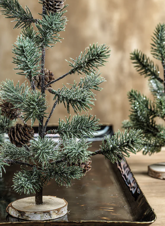 Aspen Pine Tree S