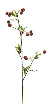 Green Branch Cherry Artificial Stems