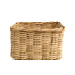 Fan Palm Catch All - 11