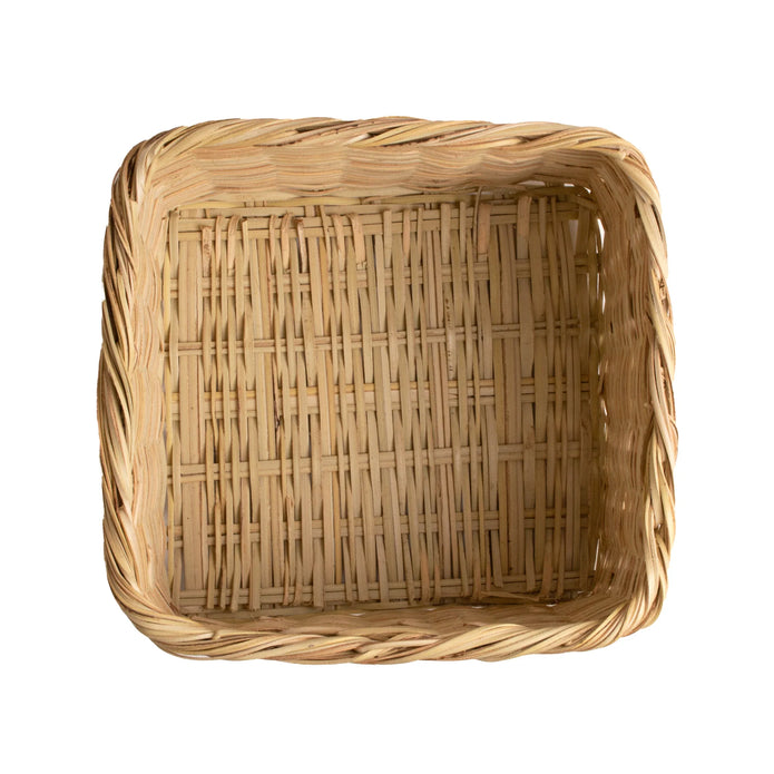 Fan Palm Catch All - 11
